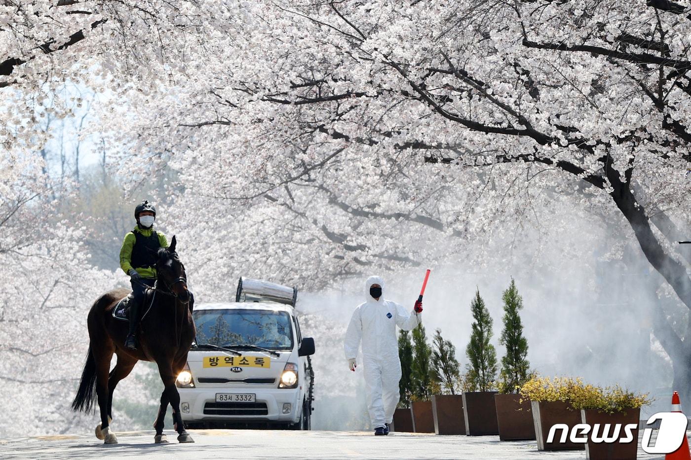 5일 경기 과천 렛츠런파크 서울(경마공원)에서 훈련하는 모습. 2020.4.5/뉴스1 ⓒ News1 안은나 기자