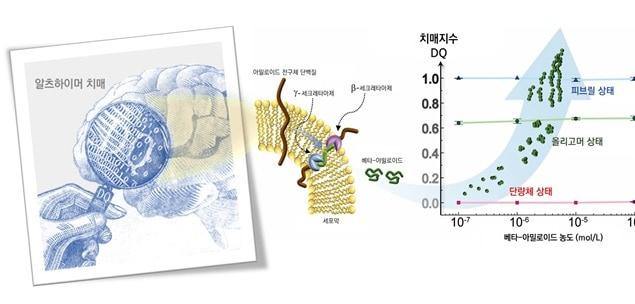본문 이미지 - 연구진이 발명한 ‘치매지수(DQ)’ (IBS 제공) ⓒ 뉴스1