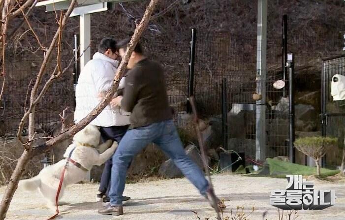 본문 이미지 - KBS '개는 훌륭하다' ⓒ 뉴스1