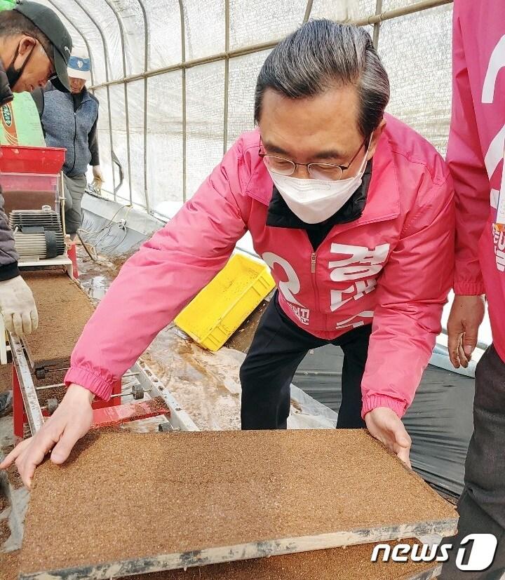 본문 이미지 - 미래통합당 중부3군 경대수 후보가 7일 한농연·한여농 진천군연합회, 진천군 여성축산인들과 간담회 후 한 농가에서 볍씨를 뿌리고 있다.(경대수 후보 사무실 제공)ⓒ 뉴스1
