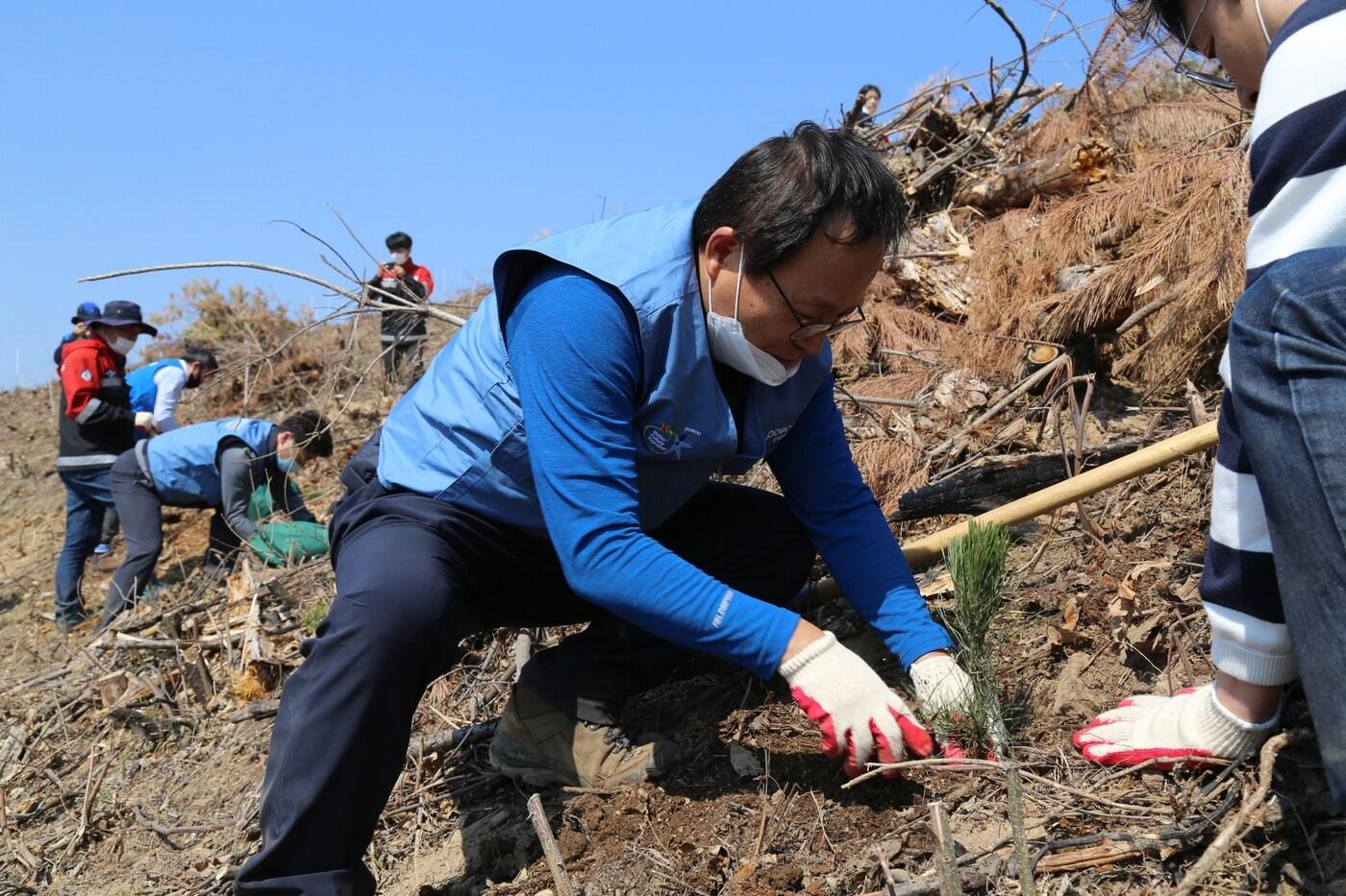 본문 이미지 - 지난해 4월 정기섭 포스코에너지 사장이 강원도 삼척 산불피해지역 복구를 위한 숲 조성 행사에 참석해 산불피해지역에 나무를 심고 있다.(포스코에너지 제공) ⓒ 뉴스1