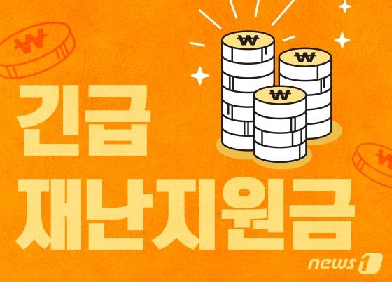 본문 이미지 - ⓒ News1 DB