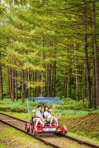본문 이미지 - 정선 레일바이크