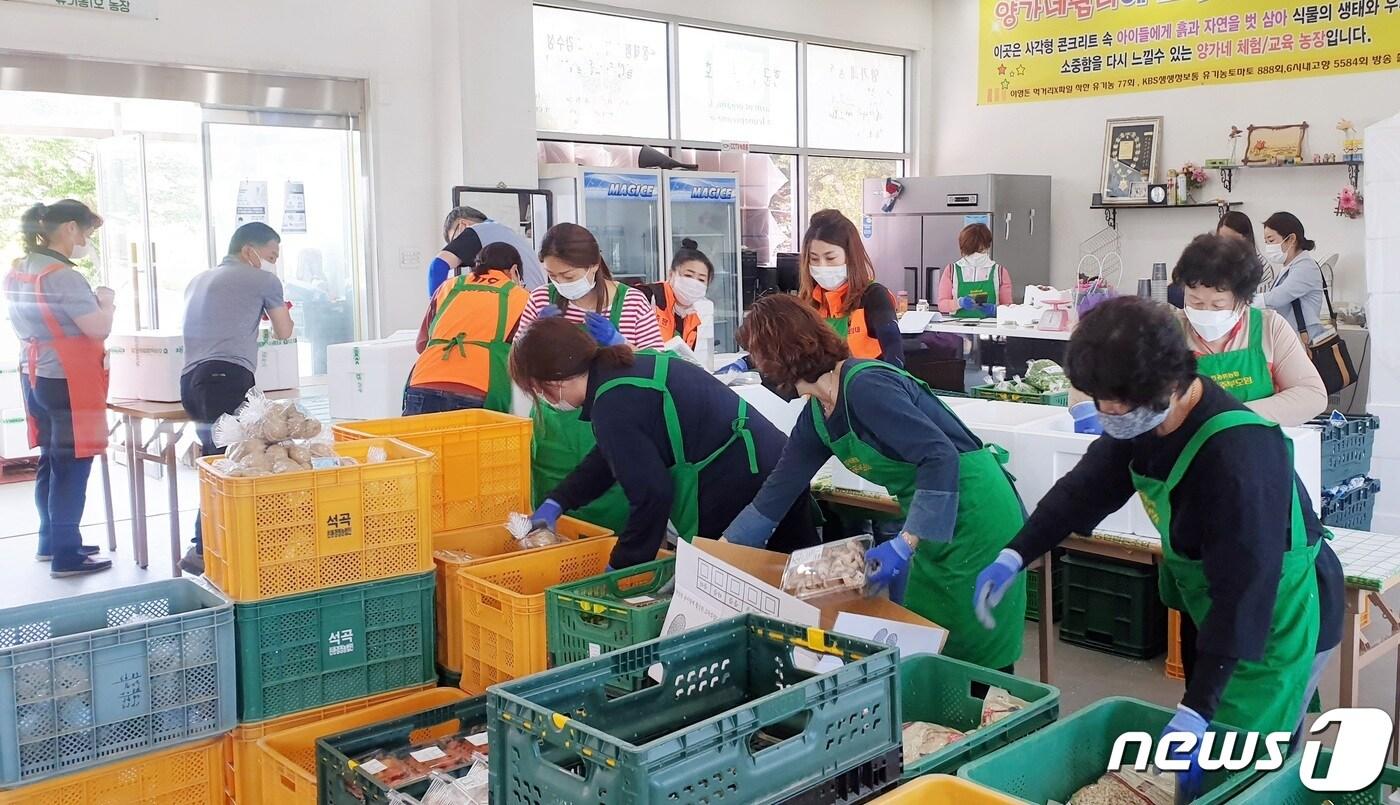 본문 이미지 - 학생 가정에 배송할 농산물 꾸러미를 만들고 있다.(증평군 제공)ⓒ 뉴스1