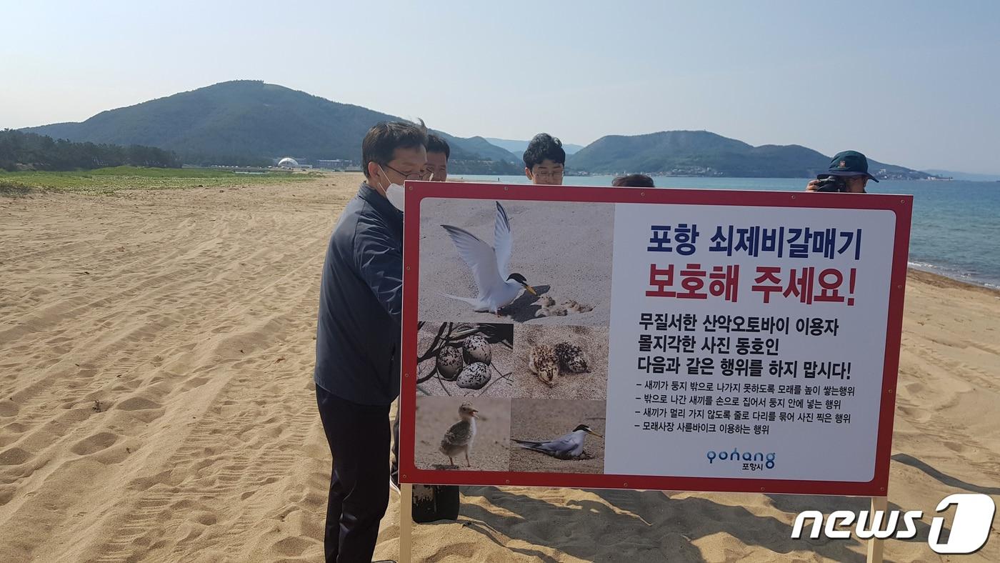 본문 이미지 - 경북 포항시 환경녹지과 직원들이 지난 29일 오후 멸종위기종인 쇠제비갈매기 서식지로 알려진 경북 북구 흥해읍 해안가 입구에서 서식지 보호 안내문을 세우고 있다. 포항시는 일부 사진작가들과 사륜오토바이로 인해 서식자가 훼손되고 있다는 민원이 잇따르자 담당 공무원을 불시에 투입, 단속하기로 했다. 2020.5.30/뉴스1 ⓒ News1 최창호 기자