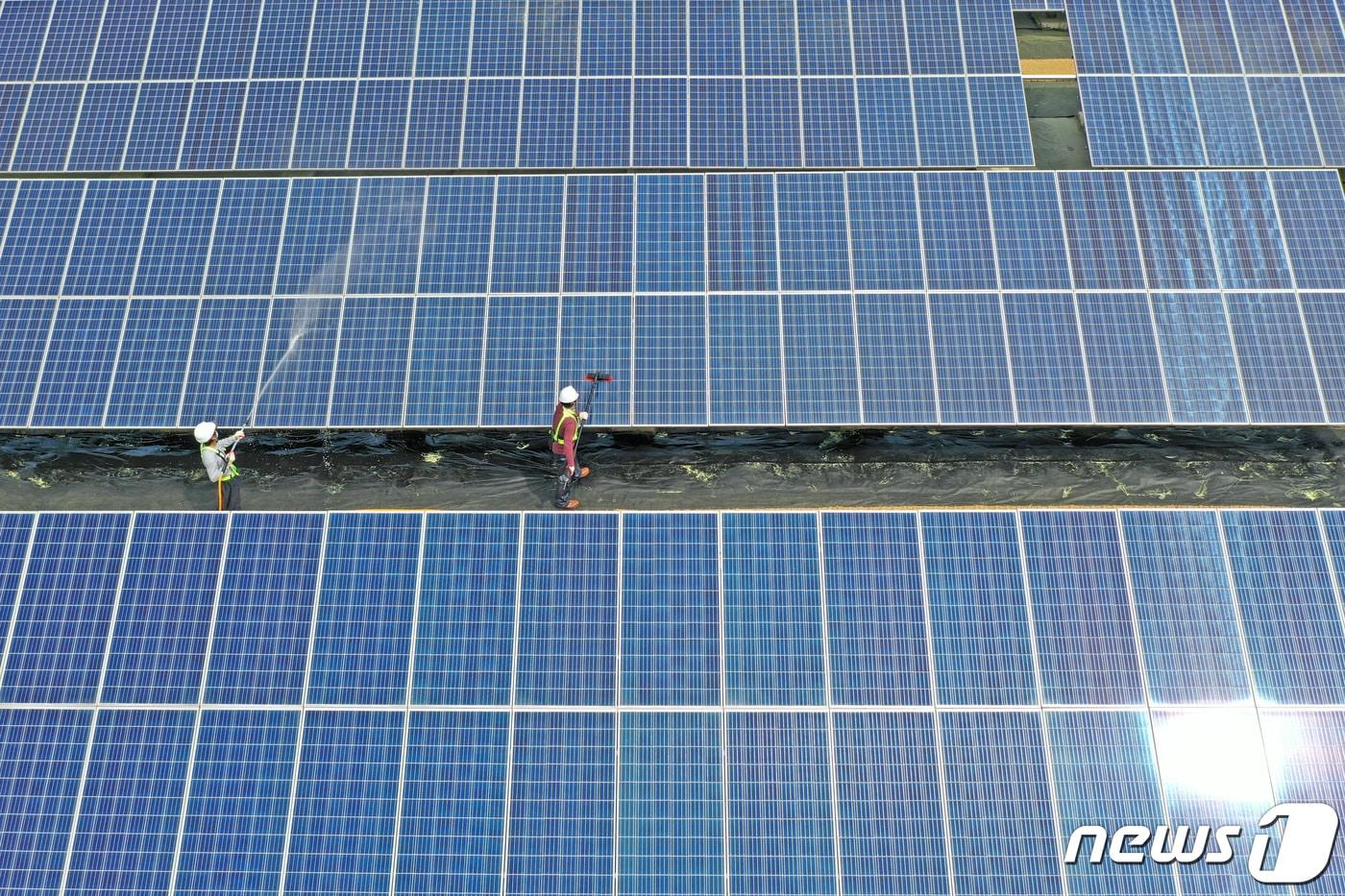태양광 모듈. (사진은 기사 내용과 무관함)/뉴스1 ⓒNews1