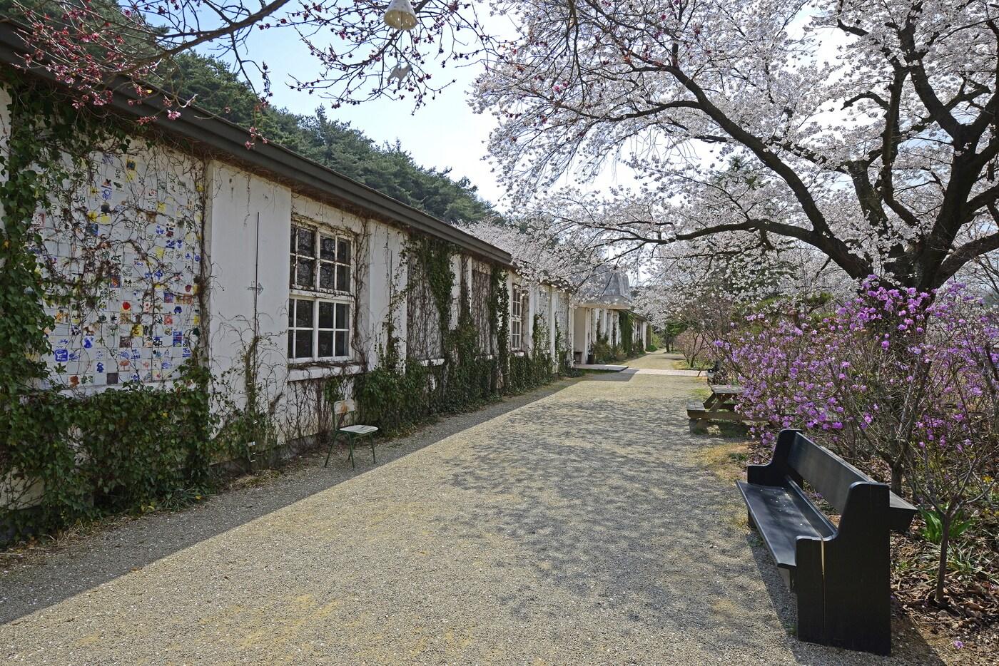 본문 이미지 - 충남 당진 성안마을에 자리한 아미미술관. 폐교를 활용한 공간이다. 이하 한국관광공사 제공