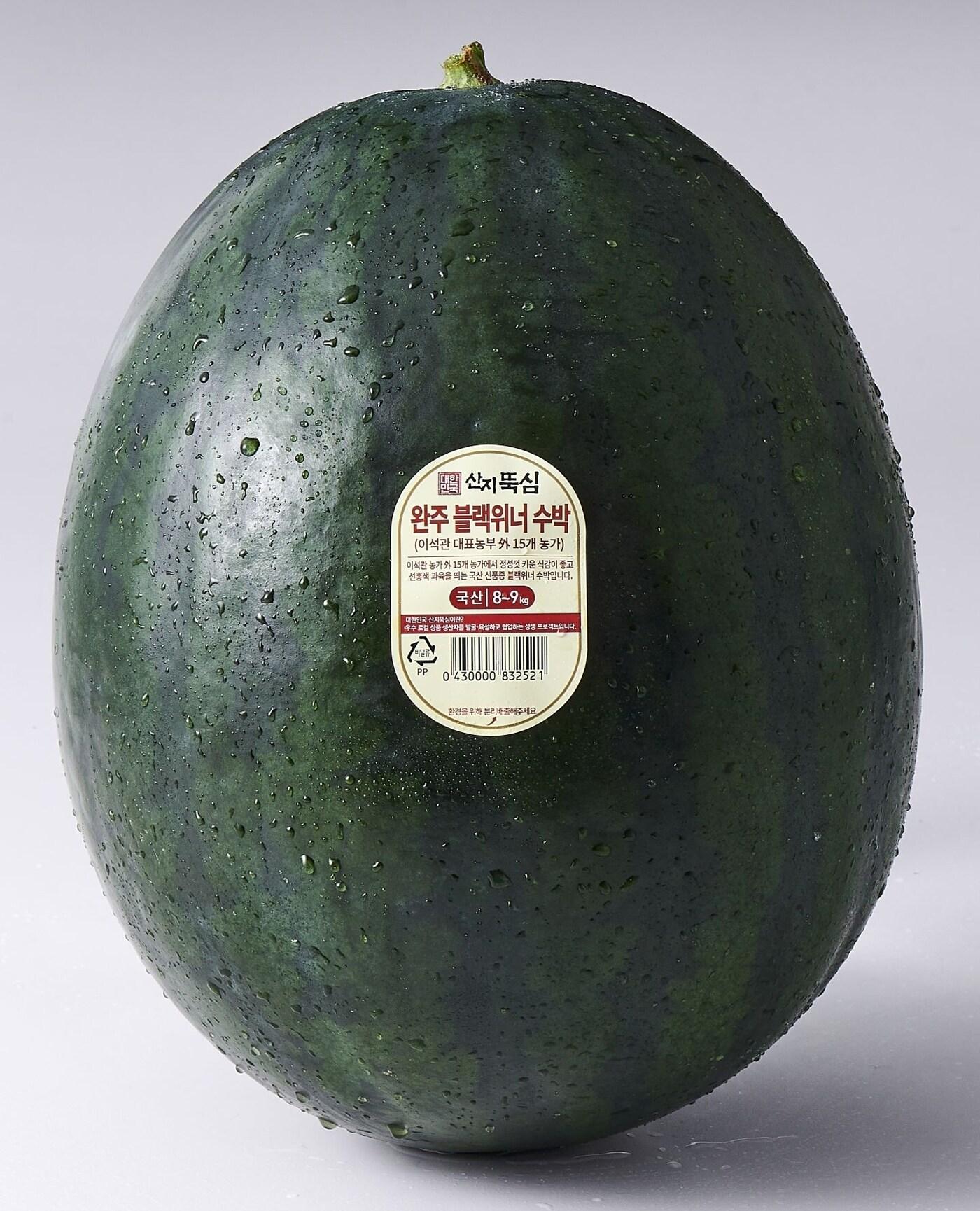 본문 이미지 - 롯데마트에서 판매를 시작하는 완주 블랙위너  수박ⓒ 뉴스1(롯데쇼핑 제공)