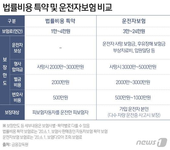 본문 이미지 - ⓒ News1 이은현 디자이너