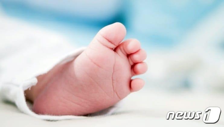 본문 이미지 - ⓒ 뉴스1