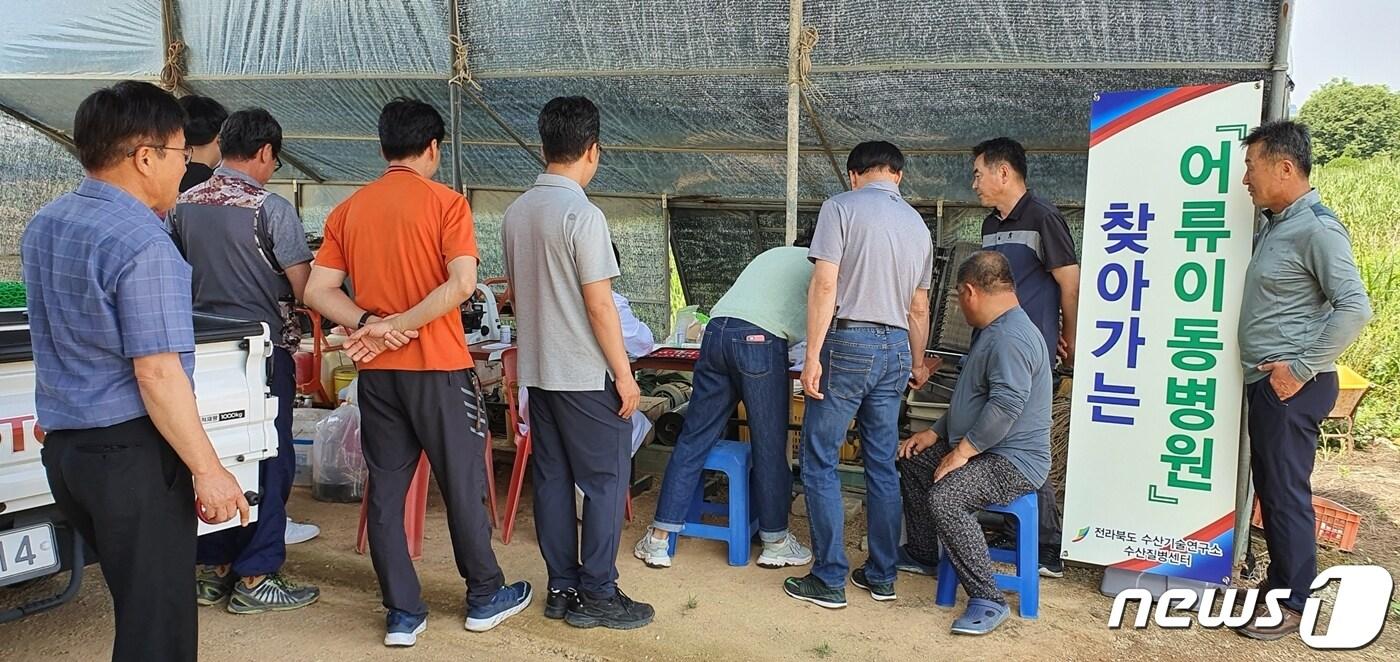 본문 이미지 - 전북 정읍시가 내수면 수산생물의 질병을 예방하고 어가소득 증대를 위해 '찾아가는 어류 이동병원'을 운영하고 있다. ⓒ 뉴스1