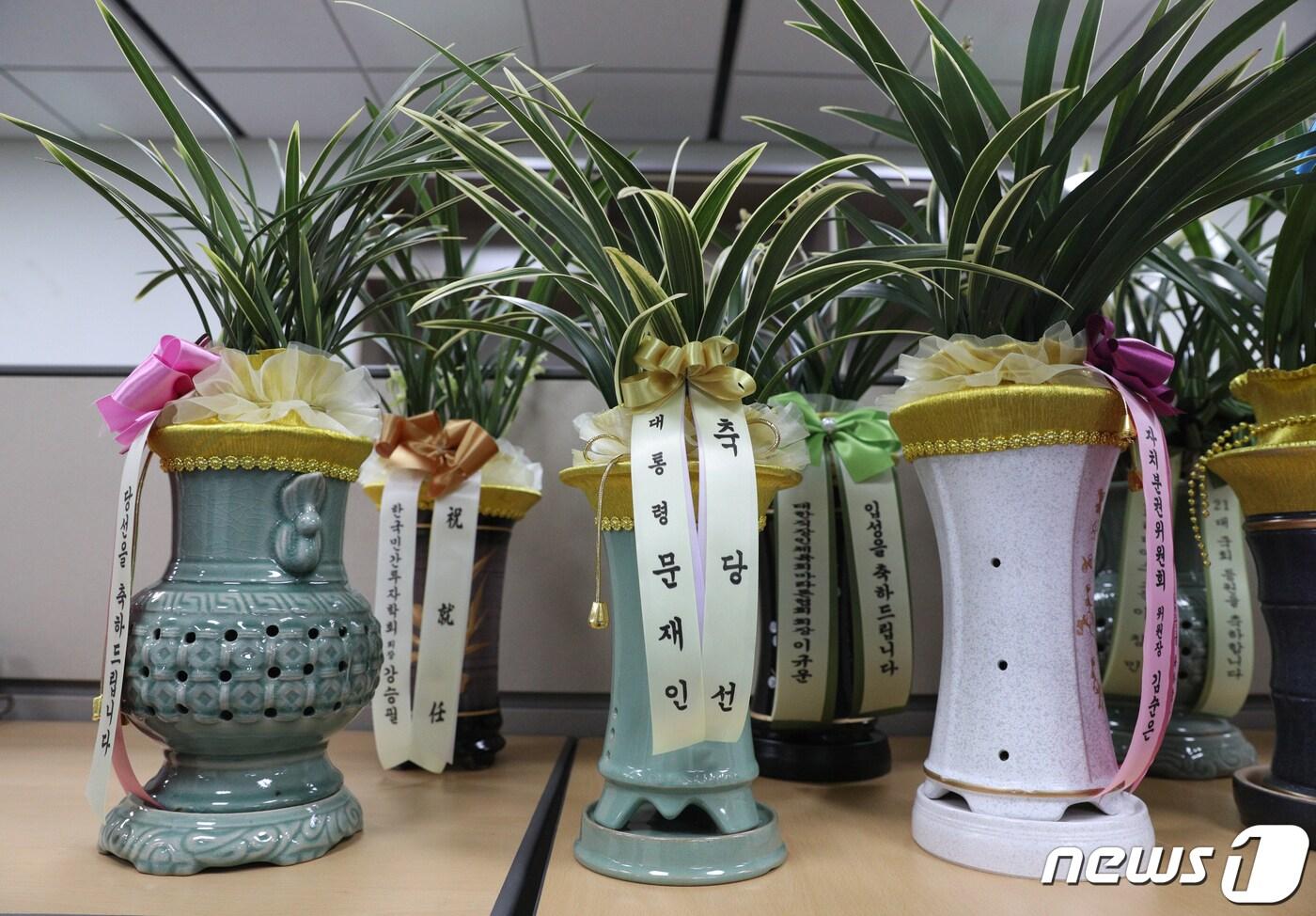 지난해 6월2일 서울 여의도 국회 의원회관 양기대 의원실에 문재인 대통령의 축하난이 놓여져 있다. 문 대통령은 21대 국회 임기를 시작한 여야 국회의원 300명 전원에게 축하 난을 보냈다. 2020.6.2/뉴스1 ⓒ News1 신웅수 기자