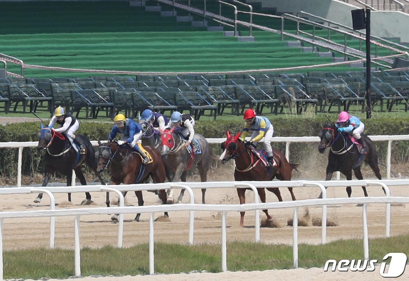 본문 이미지 - 지난 6월21일 경주마 소유자인 마주 입장만 허용한 채 무관중으로 경마대회가 진행되고 있다. /뉴스1 ⓒ News1 송원영 기자