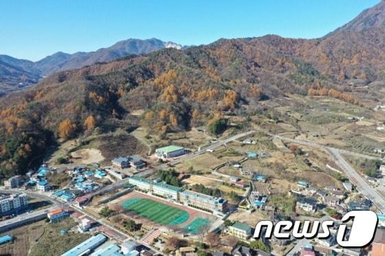 본문 이미지 - 지난해 숲가꾸기 최우수 사업장으로 선정된 문경시 문경읍 주민생활권에 위치한 생활환경보전림. ⓒ 뉴스1