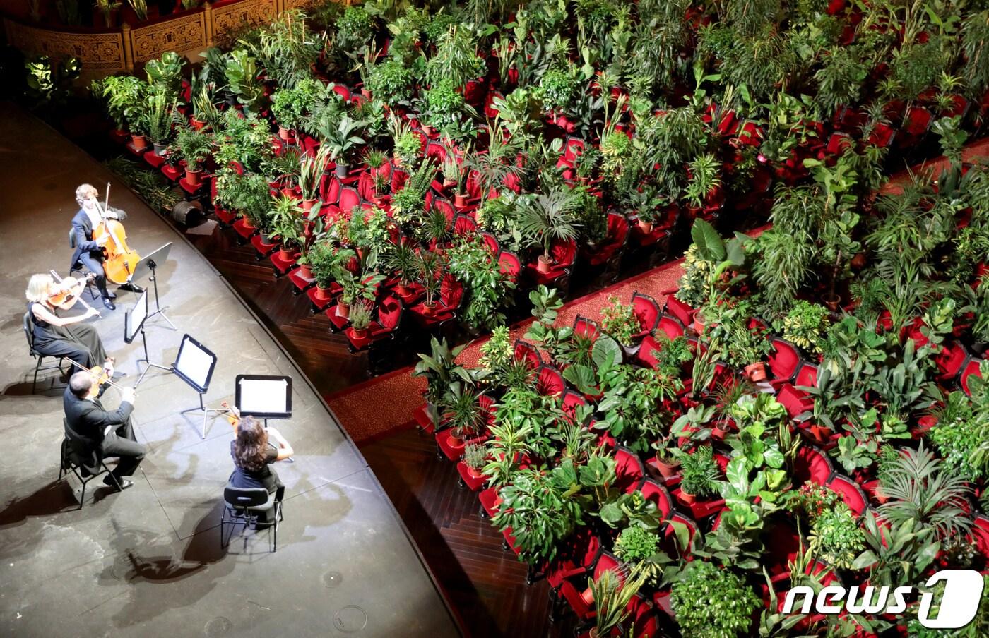 본문 이미지 - 바르셀로나 리세우 대극장의 공연 ⓒ 로이터=뉴스1