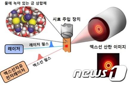 본문 이미지 - 펨토초 엑스선 회절법 실험 과정의 모식도(IBS 제공)ⓒ 뉴스1