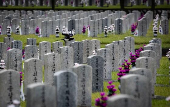 본문 이미지 - 6·25 70주년인 6월 25일 국립현충원 모습. ⓒ News1 이재명 기자