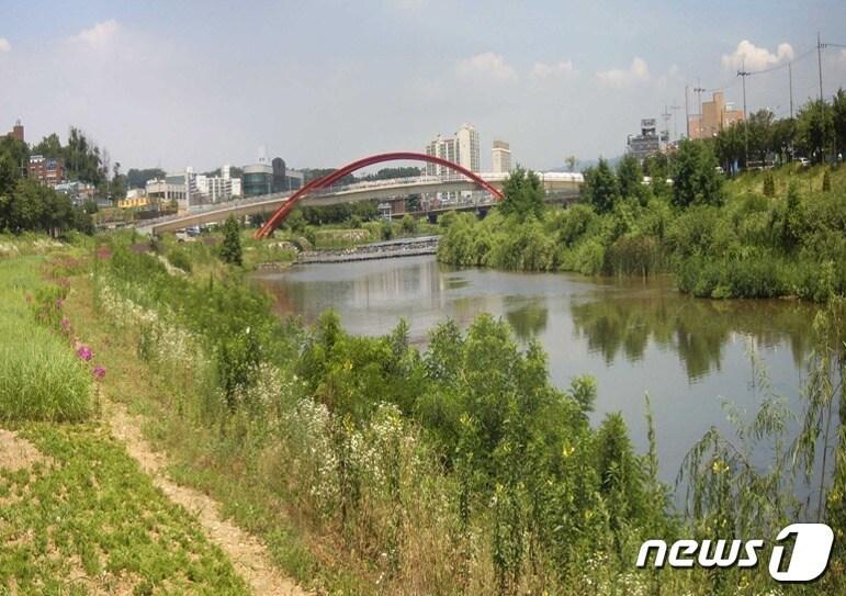 본문 이미지 - 경기도가 2018년부터 오산 오산천(사진) 등 10개 시, 12개 하천 37㎞ 구간에 대해 생태하천복원사업을 실시한 결과, 수생태계가 개선된 것으로 나타났다.(경기도 제공) /ⓒ 뉴스1