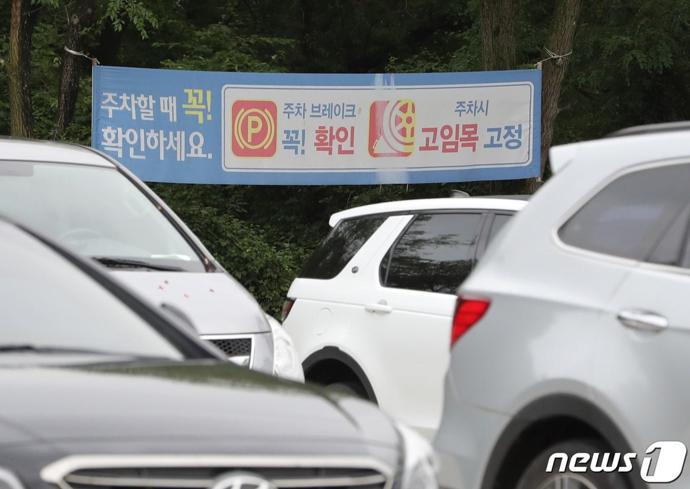 본문 이미지 - ⓒ News1 이성철 기자