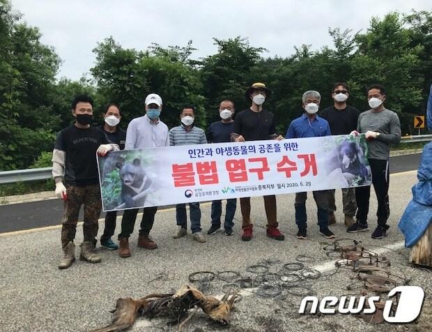 본문 이미지 - 금강유역환경청은 29일 반달가슴곰 서식환경 보호를 위해 관계기관과 합동으로 영동군 민주지산 주변에서 불법 엽구 수거 활동을 펼쳤다.(금강유역환경청 제공)ⓒ 뉴스1