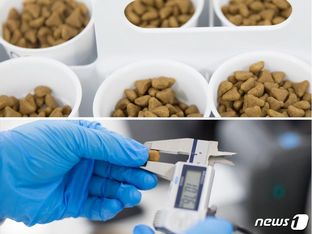 본문 이미지 - 사진 로얄캐닌 제공 ⓒ 뉴스1