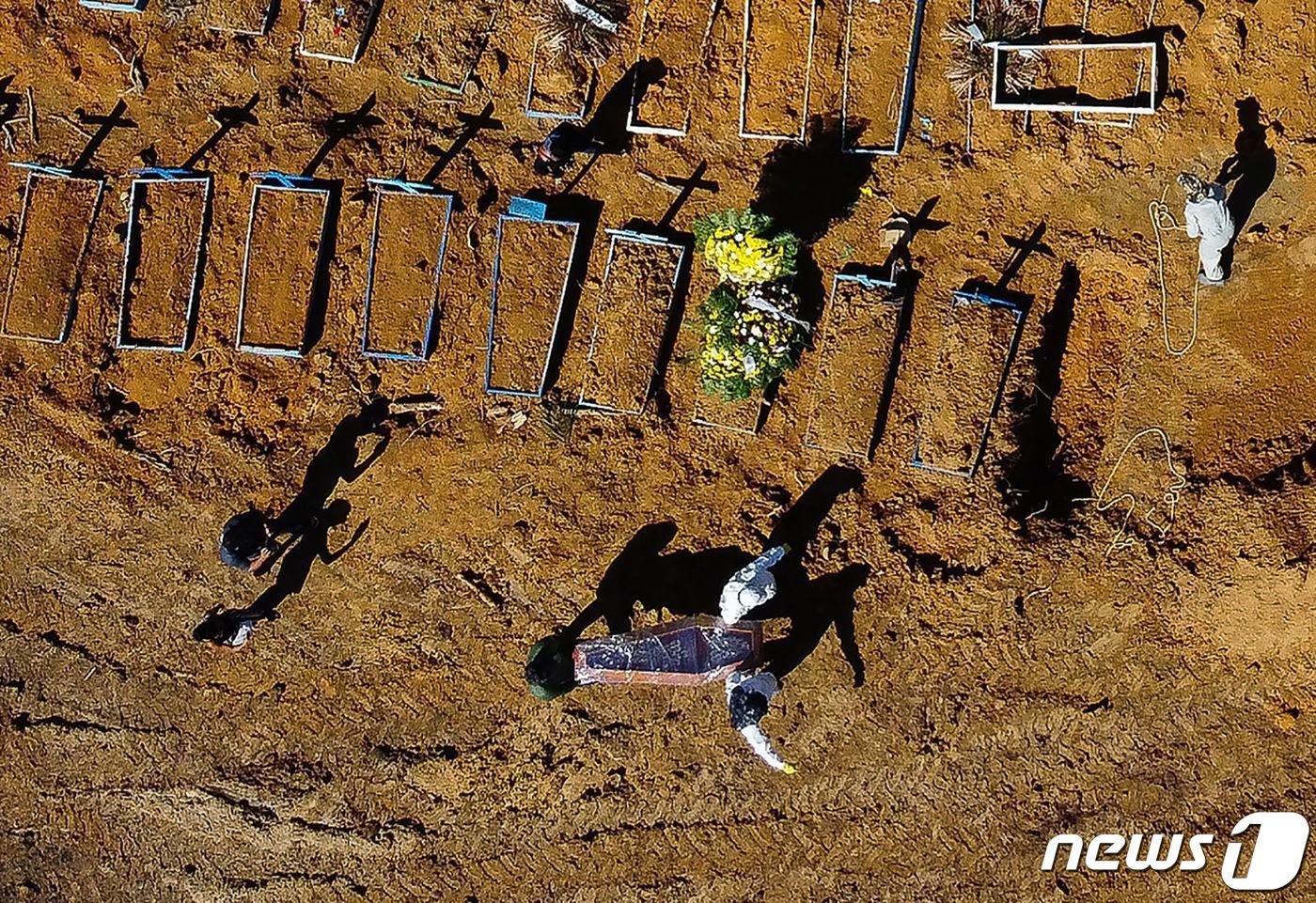 본문 이미지 - 브라질의 코로나19 희생자들 묘. ⓒ AFP=뉴스1