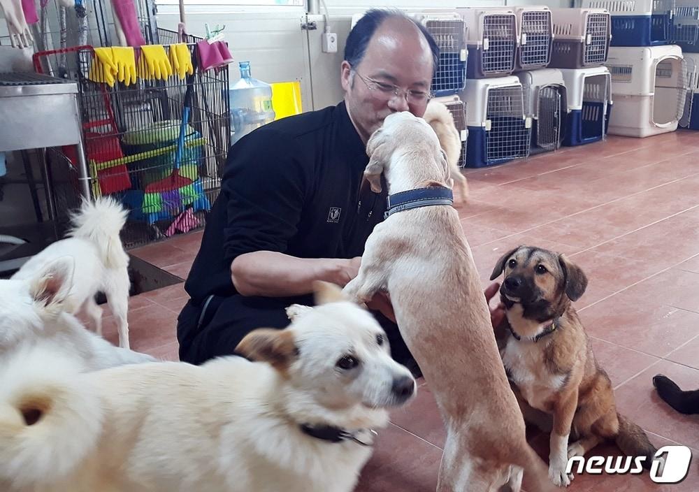 본문 이미지 - 강아지들과 즐거운 시간을 보내고 있는 한병진 고유거 대표. ⓒ 뉴스1 최서윤 기자