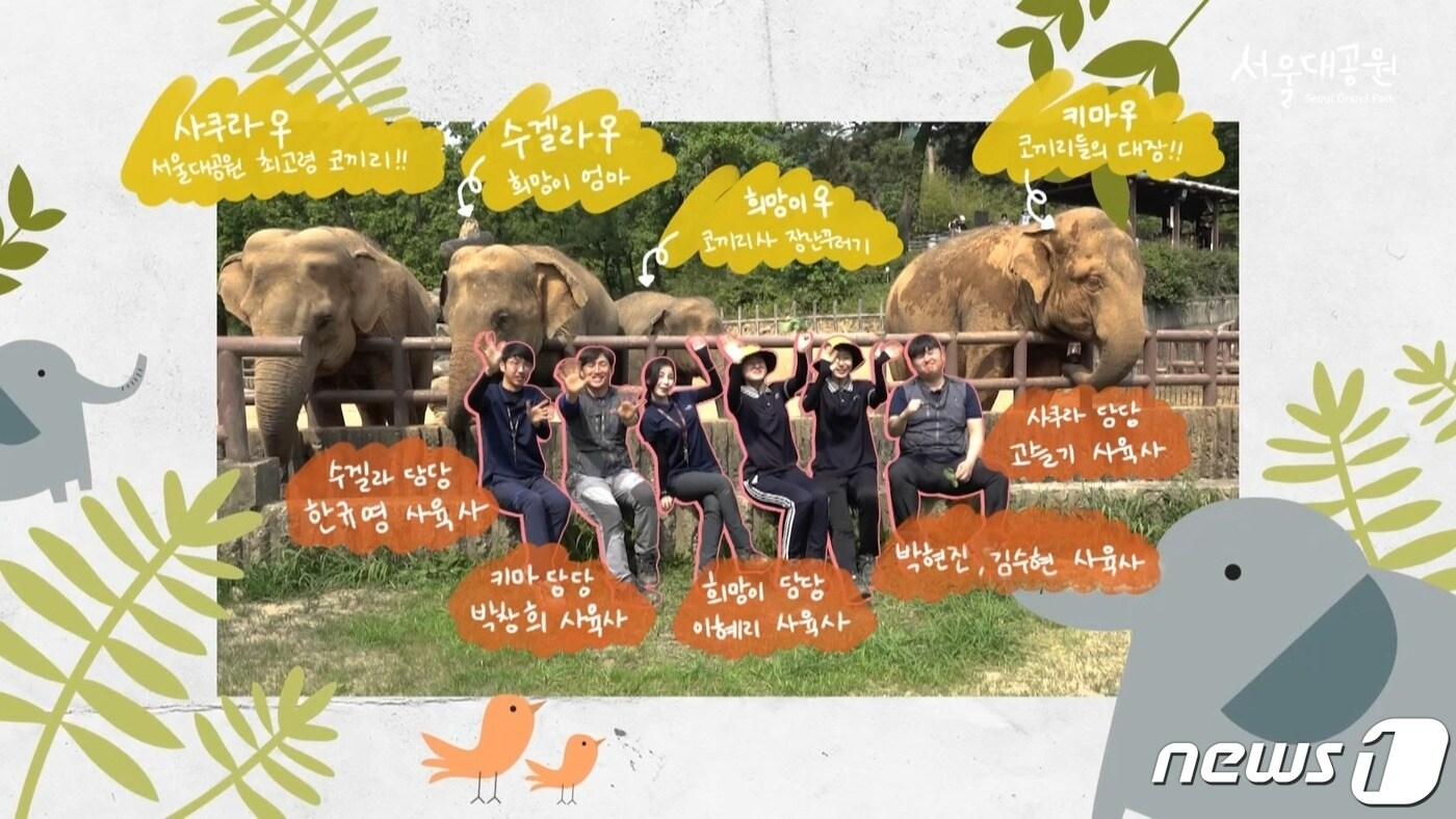 서울대공원 '코끼리 전담반의 하루'(서울대공원 제공) ⓒ 뉴스1