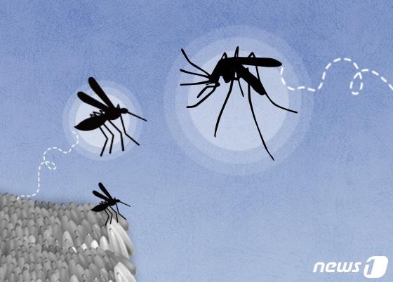 본문 이미지 - ⓒ News1 DB