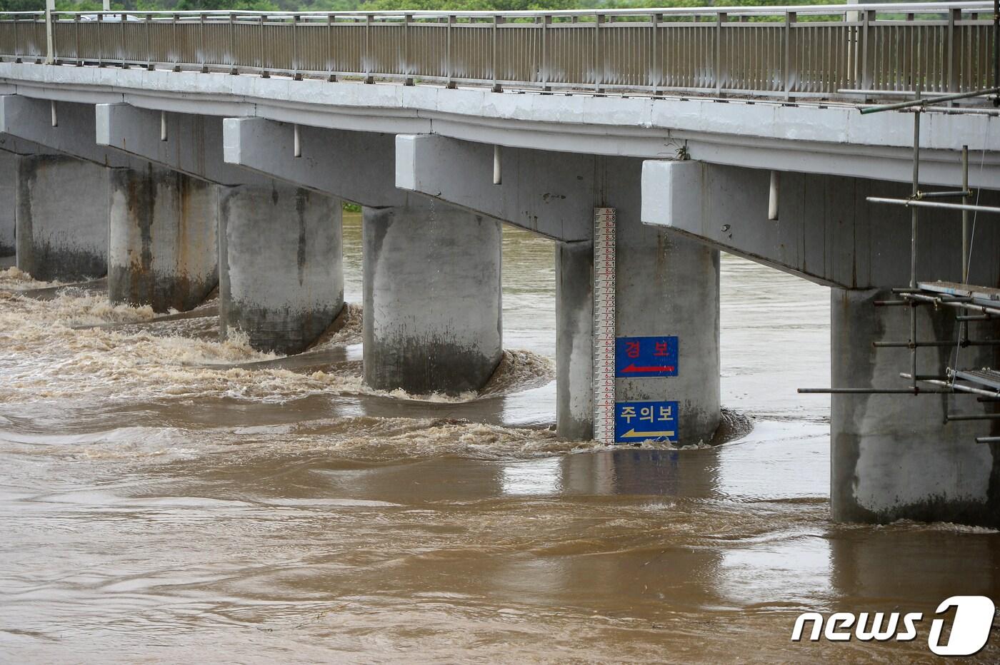 13일 오전 홍수주의보가 발령된 광주 광산구 장록교 수위가 주의보 수준까지 올라 있다. 2020.7.13/뉴스1 ⓒ News1 한산 기자