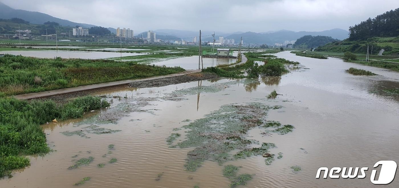집중 호우로 인해 진도의 한 농경지가 침수피해를 입은 모습.(진도군 제공. 재판매 및 DB금지)/뉴스1DB