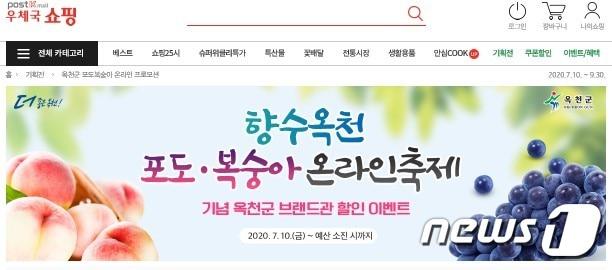 본문 이미지 - 향수옥천 포도·복숭아 축제 우체국 쇼핑몰 ⓒ 뉴스1