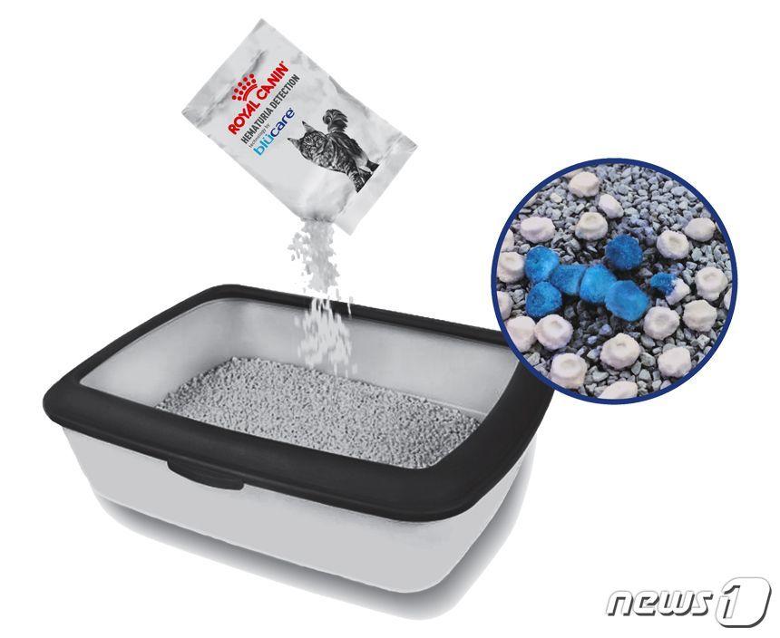 본문 이미지 - 고양이 체외진단 의료기기 '헤마츄리아 디텍션 바이 블루케어' 사진 로얄캐닌 제공 ⓒ 뉴스1