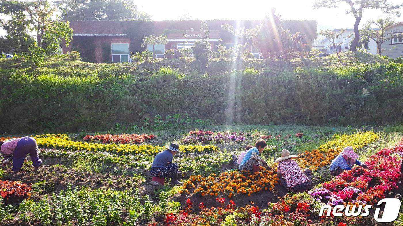 본문 이미지 - 농촌체험휴양마을인 순천 꽃마차마을. 사진은 기사와 무관.