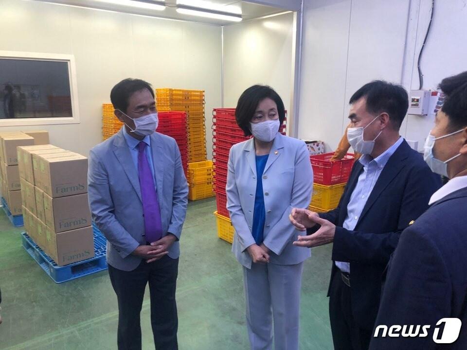 본문 이미지 - 박영선 중소벤처기업부 장관이 15일 경기 평택 소재 스마트팜 기업 '팜에이트'를 방문해 업체 관계자로부터 설명을 듣고 있다. ⓒ 뉴스1 문대현 기자