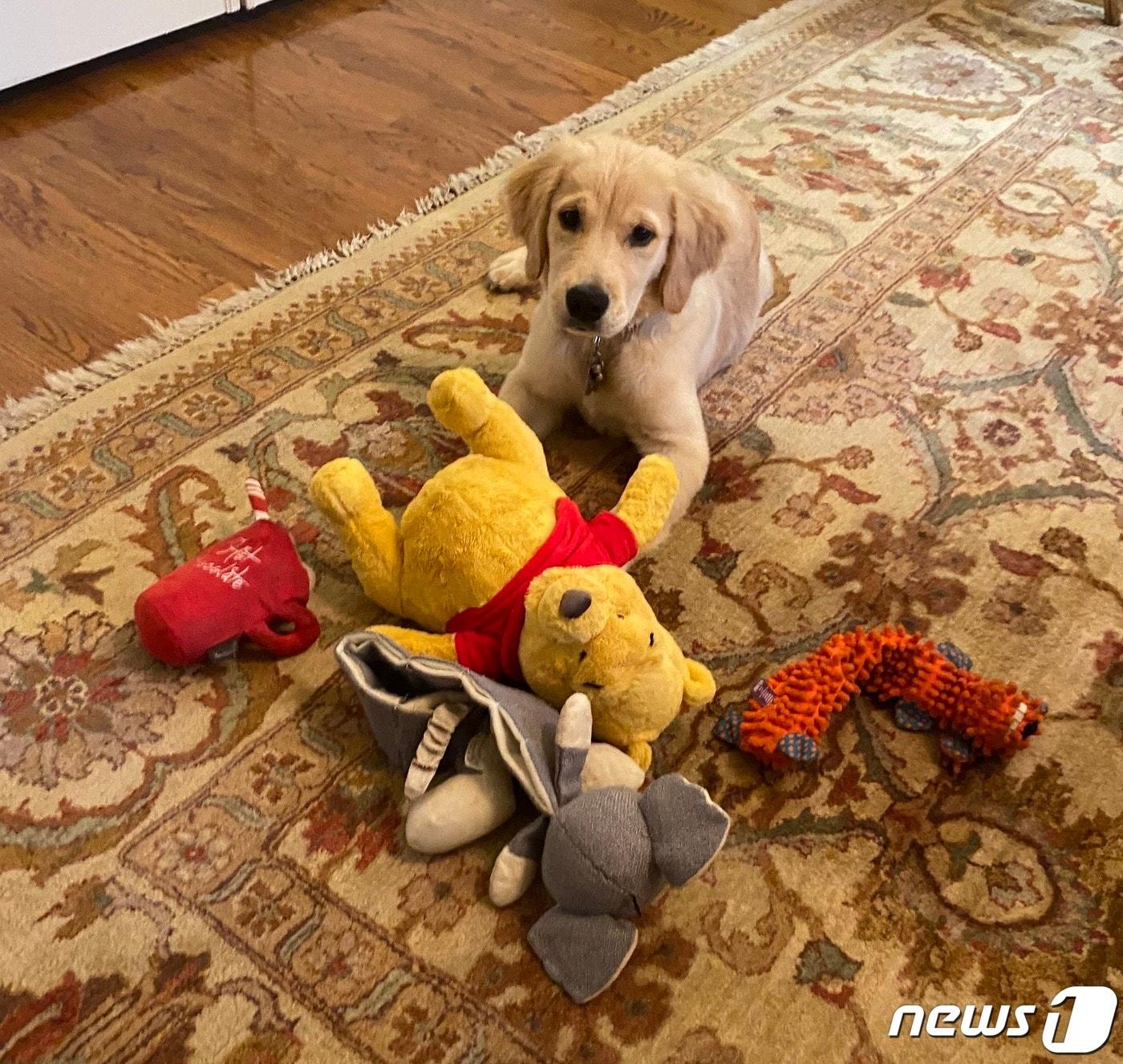 본문 이미지 - 마이크 폼페이오 미국 국무장관 트위터. ⓒ 뉴스1