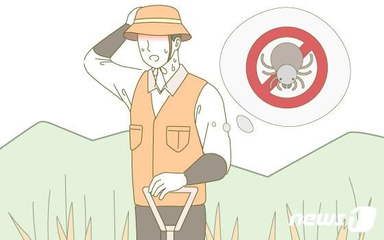 본문 이미지 - ⓒ News1 DB