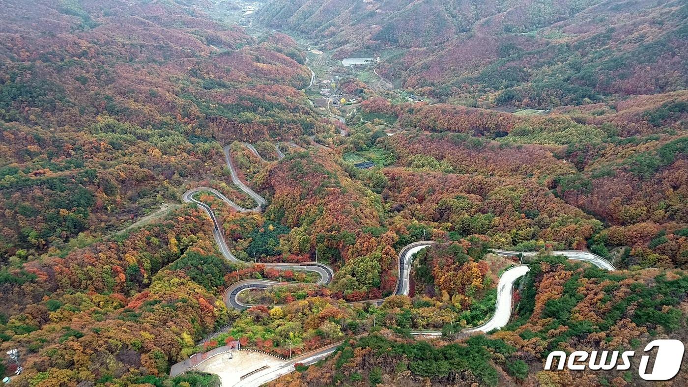 본문 이미지 - 충북 영동군 상촌면에 위치한 도마령 고갯길. (영동군 제공)ⓒ 뉴스1