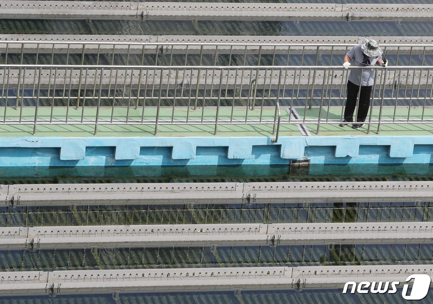  서울 성동구 뚝도아리수정수센터 관계자들이 수질을 점검하는 모습. /뉴스1 ⓒ News1 이성철 기자