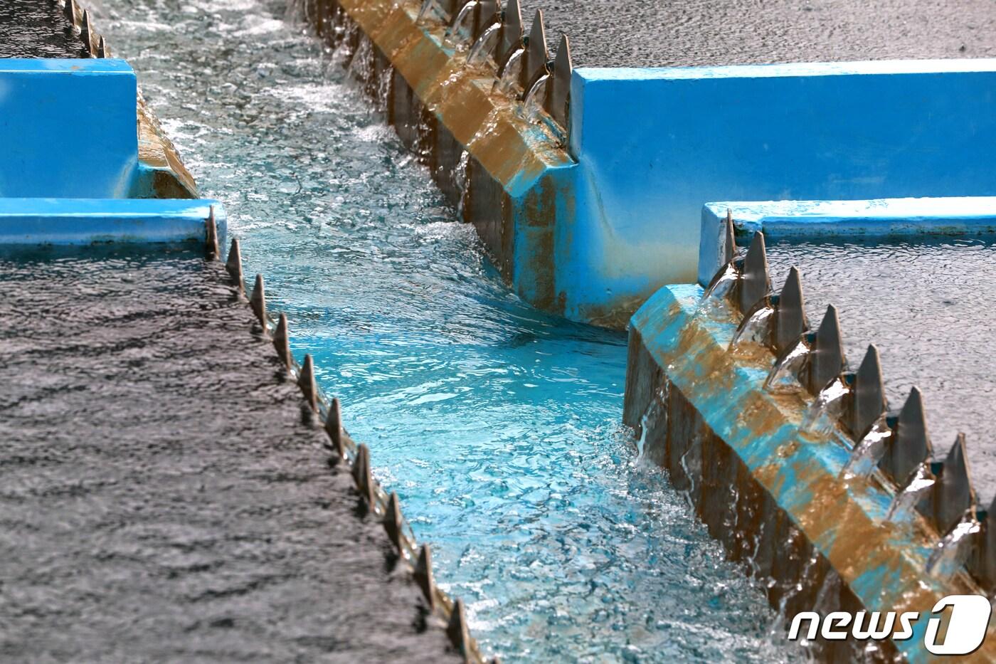 본문 이미지 - (사진은 기사 내용과 무관함) / 뉴스1 ⓒ News1