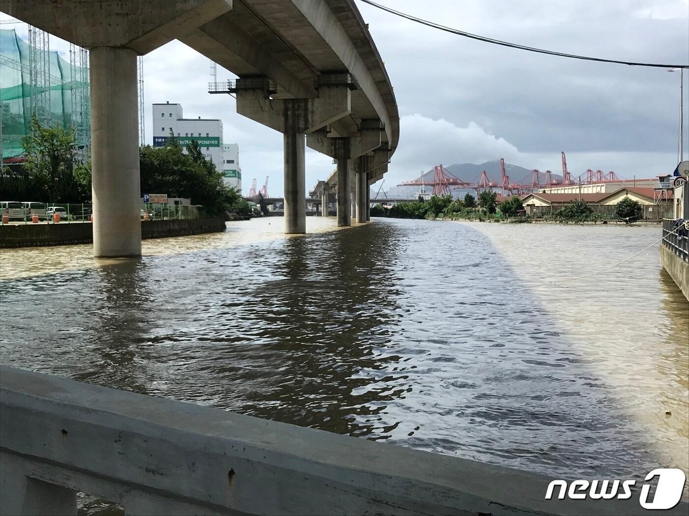 본문 이미지 - 지난 7월 부산지역에 내린 집중호우로 부산 동구 일대를 흐르는 동천의 물이 다리 밑까지 차오른 모습,  ⓒ News1 DB