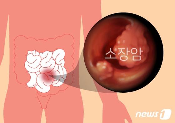 본문 이미지 - ⓒ News1 김일환 디자이너