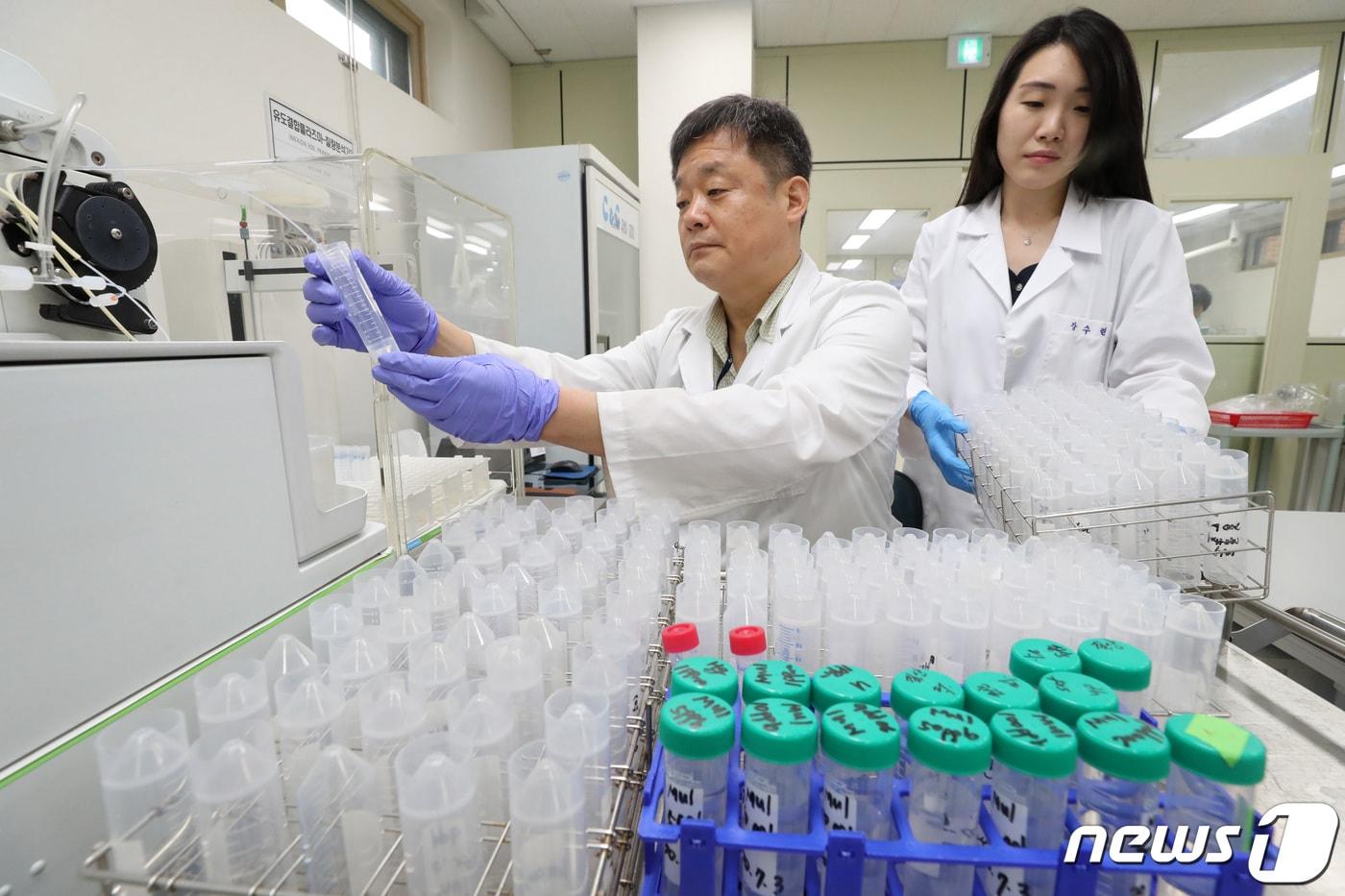 수질검사하는 직원들.&#40;사진은 기사와 관련 없음&#41;ⓒ News1 DB