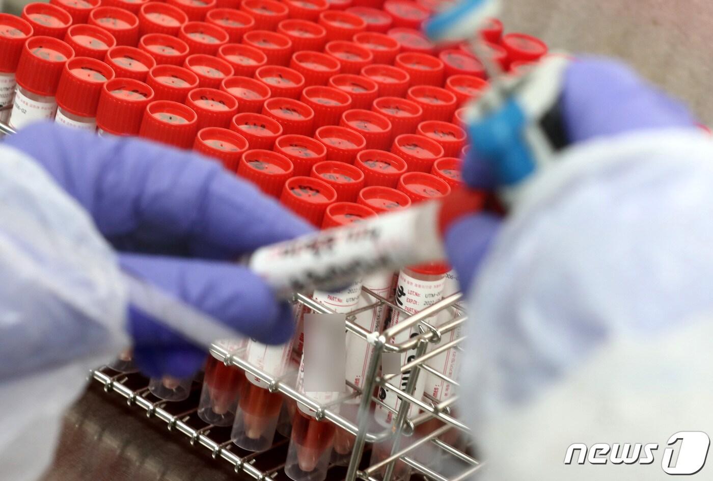 대전 유성구 대전보건환경연구원에서 연구원들이 신종 코로나바이러스 감염증(코로나19) 진단검사를 하고 있다. 2020.7.9/뉴스1 ⓒ News1 김기태 기자