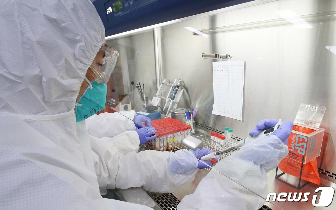  대전 유성구 대전보건환경연구원에서 연구원들이 신종 코로나바이러스 감염증(코로나19) 진단검사를 하고 있다. 뉴스1 ⓒ News1 김기태 기자