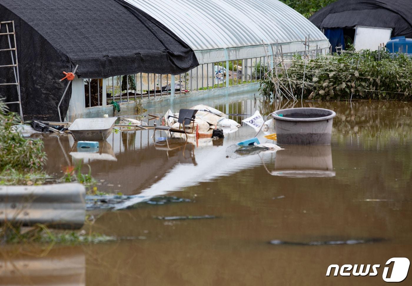 경기도 파주시 파평면 율곡리 일대의 비닐하우스가 집중호우로 인해 물에 잠겨 있다. 2020.8.11/뉴스1 ⓒ News1 이재명 기자