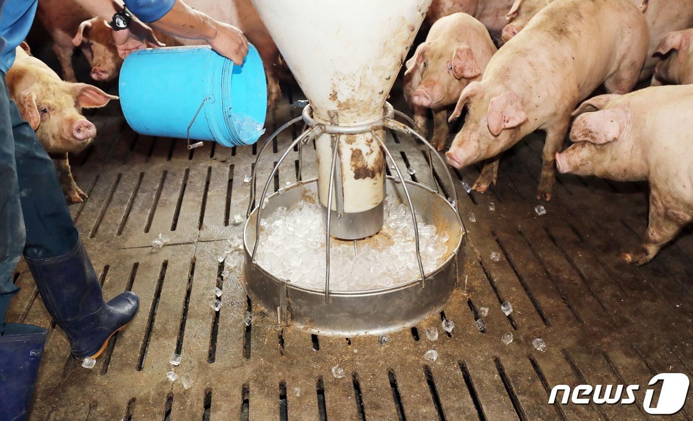 (사진은 기사 내용과 무관함) / 뉴스1 ⓒ News1