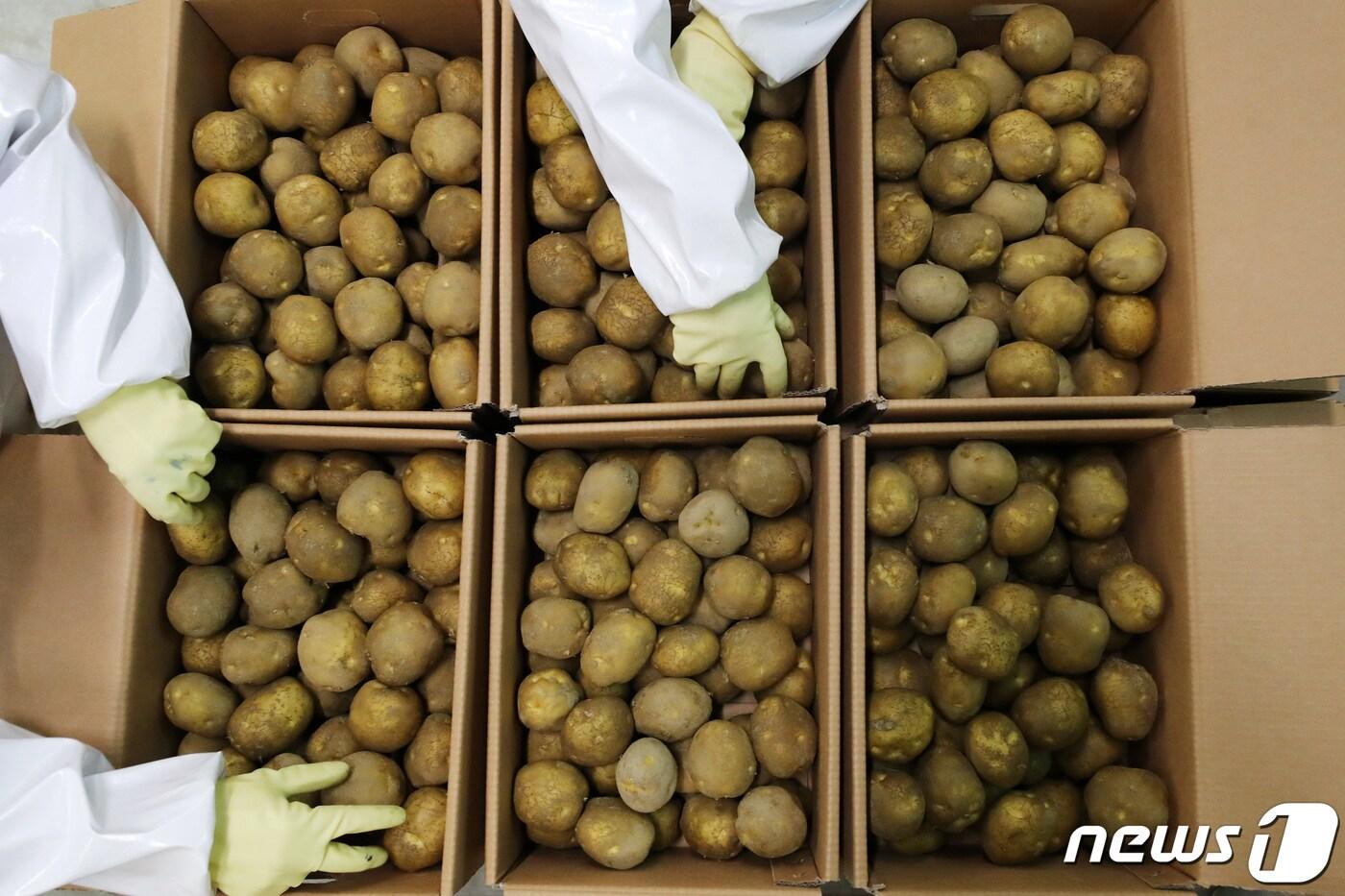 뉴스1 DB. /뉴스1 ⓒ News1 조태형 기자