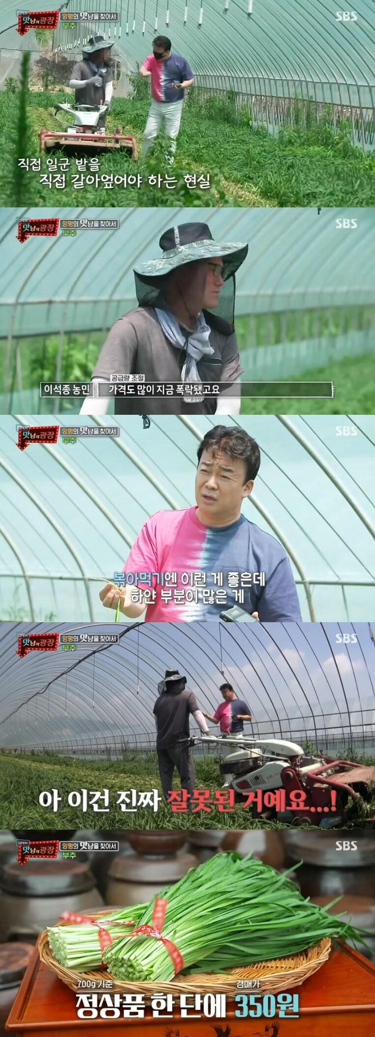 본문 이미지 - SBS '맛남의 광장' 캡처 ⓒ 뉴스1