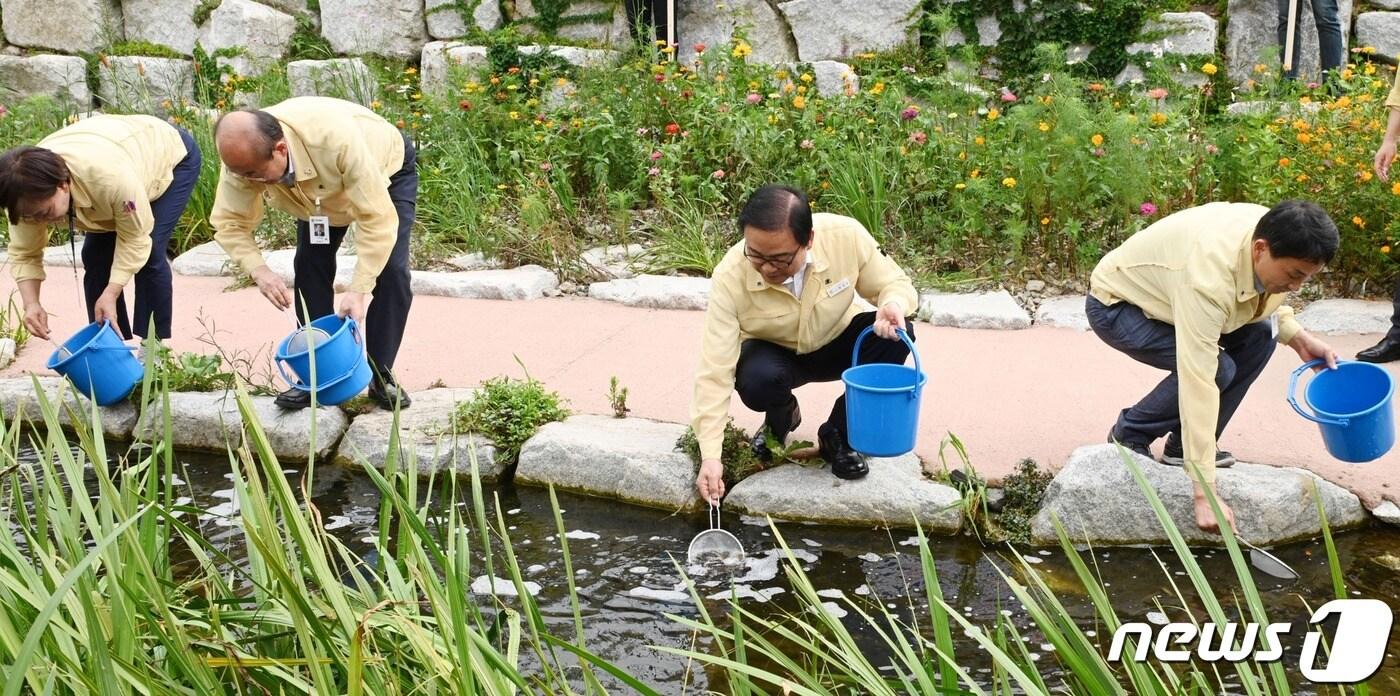 지난 5일 경남 창녕군 관계자들이 하천에 미꾸라지를 방류하고 있다. ⓒ 뉴스1